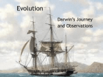 7th Evolution Darwin.key