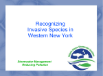Recognizing Invasive Species in Western New York