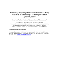 Time-frequency computational model for echo