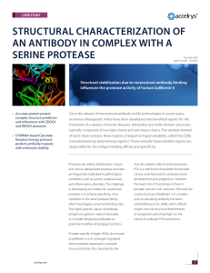 Structural characterization of an antibody in complex with