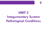 UNIT 3 Integumentary System Pathological Conditions