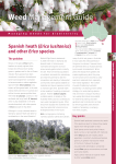 Spanish heath (Erica lusitanica) and other Erica species