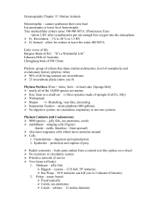 Oceanography Chapter 15: Marine Animals