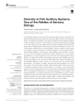 Diversity in Fish Auditory Systems: One of the Riddles of Sensory