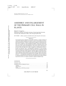 assembly and enlargement of the primary cell wall in plants