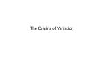 The Origins of Variation