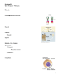 Biology 20 Cell Division – Meiosis