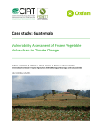 Case study: Guatemala - CIAT-DAPA