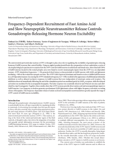 Frequency-Dependent Recruitment of Fast Amino Acid and Slow