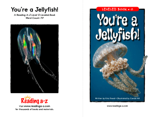 You`re a Jellyfish!