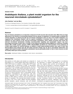 Arabidopsis thaliana, a plant model organism for