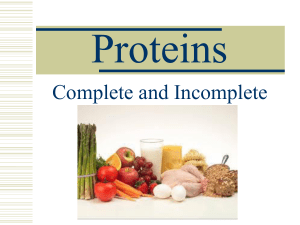 Proteins - davis.k12.ut.us