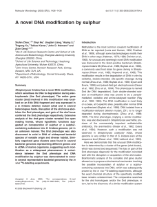 A novel DNA modification by sulphur