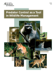 Predator Control as a Tool in Wildlife Management