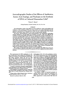Amino Acid Analogs, and Nucleases on the Synthesis of DNA in