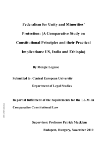 Chapter One: Federalism and Minorities Protection: Theoretical