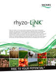 Rhyzo-Link Booklet