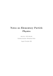 Notes on Elementary Particle Physics