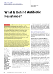 What Is Behind Antibiotic Resistance?