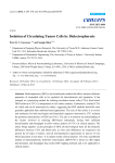 Isolation of Circulating Tumor Cells by Dielectrophoresis