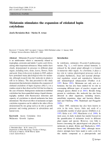 Melatonin stimulates the expansion of etiolated lupin cotyledons