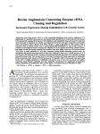 Bovine Angiotensin Converting Enzyme cDNA Cloning and