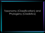 Taxonomy (Classification) and Phylogeny (Cladistics)