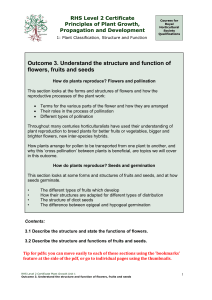 Outcome 3. Understand the structure and function of flowers, fruits