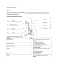 Workbook Answer Key Pg. 99 The respiratory system is responsible for