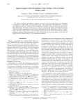 Spectroscopic Characterization of the Surface of Iron Oxide