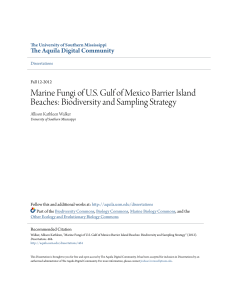 Marine Fungi of U.S. Gulf of Mexico Barrier Island Beaches