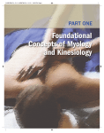 Foundational Concepts of Myology and Kinesiology
