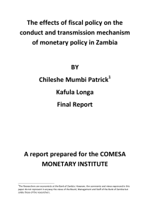 The effects of fiscal policy on the conduct and transmission