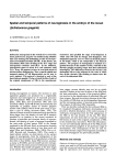 Spatial and temporal patterns of neurogenesis in the