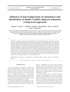 Influence of macroalgal mats on abundance and distribution of