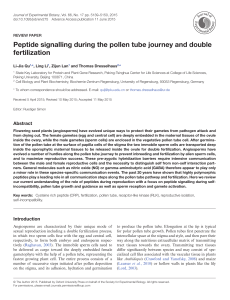 Peptide signalling during the pollen tube journey and double