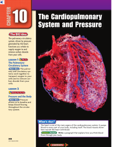 Chapter 10: The Cardiopulmonary System and Pressure