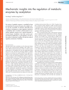 Mechanistic insights into the regulation of metabolic enzymes by