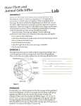 How Plant and Animal Cells Differ
