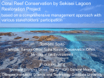 Sekisei lagoon - International Coral Reef Initiative