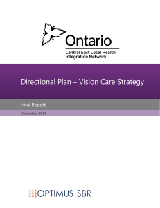 Directional Plan – Vision Care Strategy