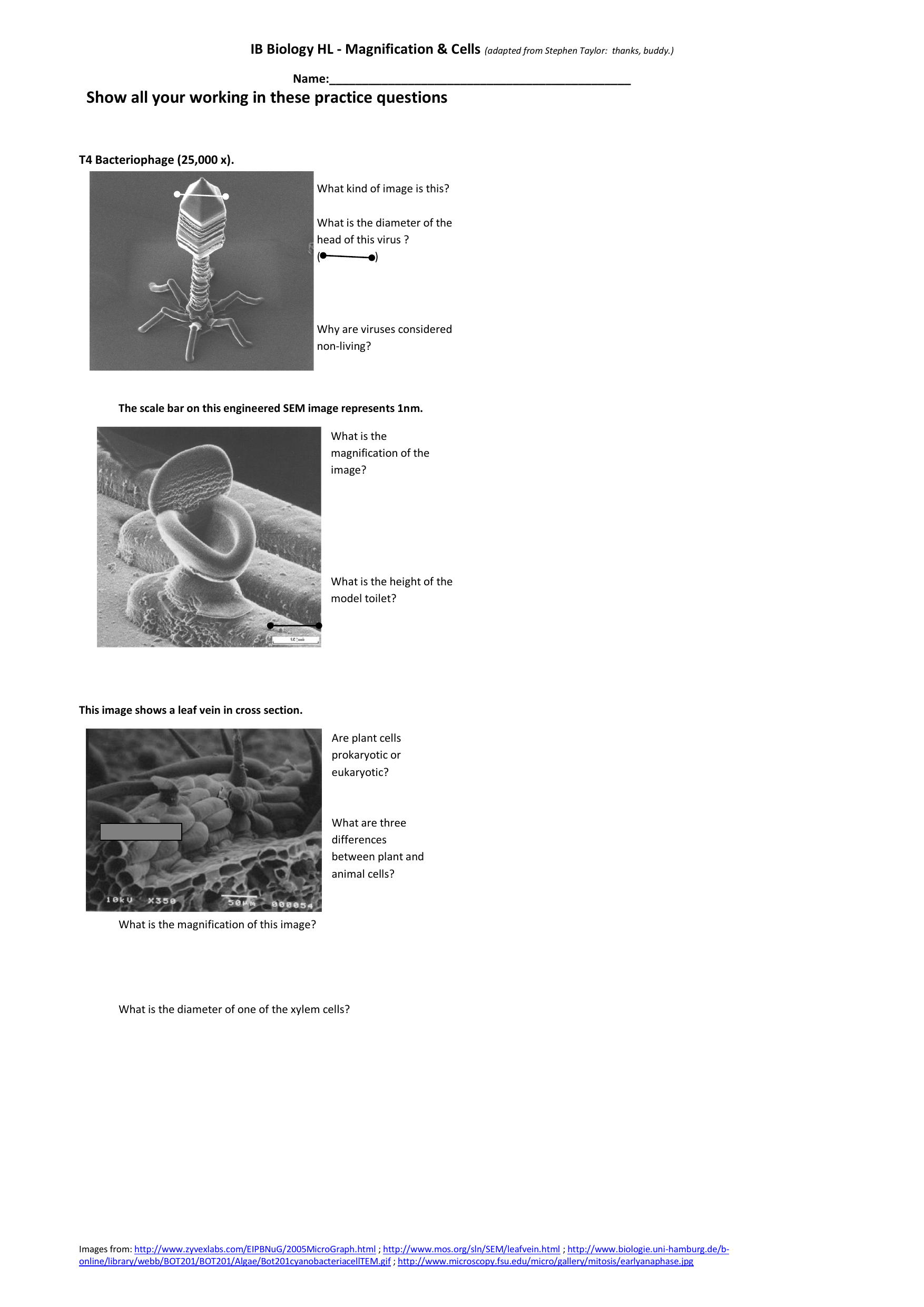 microscope-magnification-worksheet