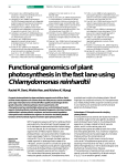 Functional genomics of plant photosynthesis in