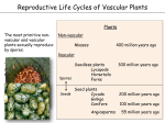 Reproductive Life Cycles of Vascular Plants
