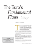 The Euro`s Fundamental Flaws