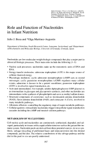 Role and Function of Nucleotides in Infant Nutrition