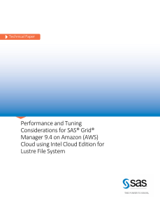 Performance and Tuning Considerations for SAS