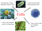 All organisms -living things are made of cells. These cells are like