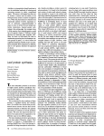 Leaf protein synthesis