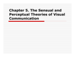 Chapter 5. The Sensual and Perceptual Theories of Visual